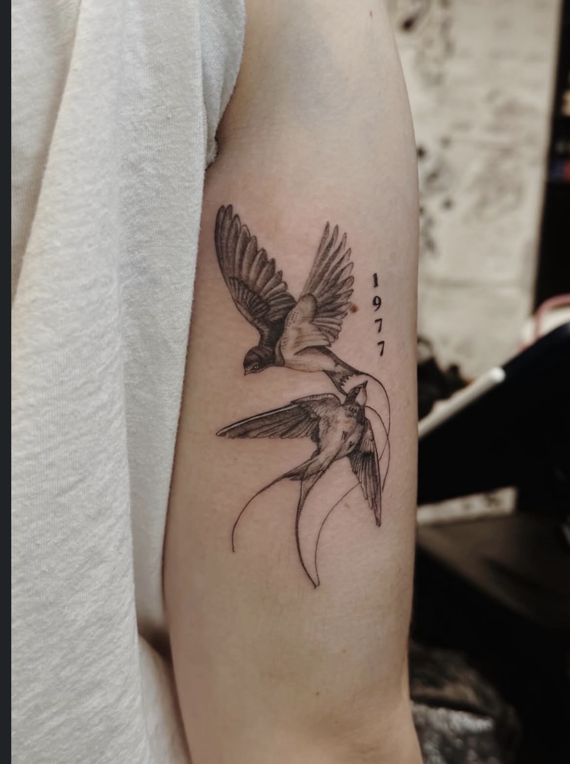 Oiseaux et année 1977 fine line