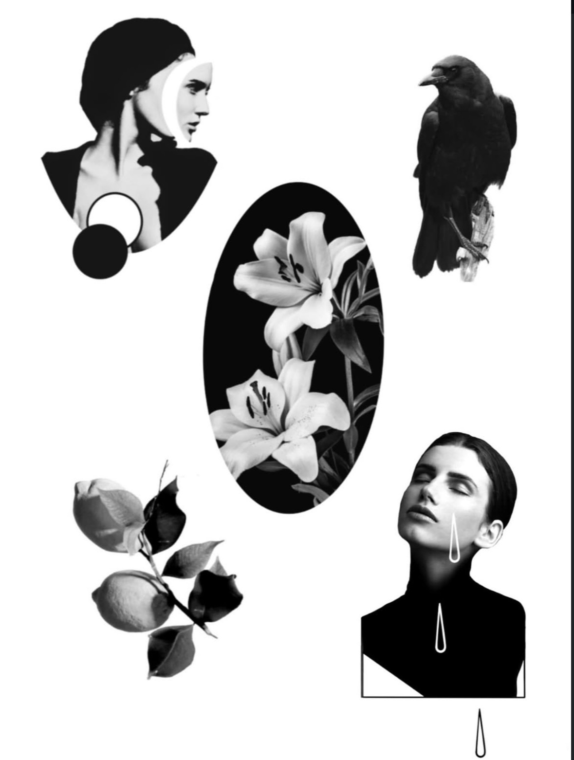 Portrait Noir & Gris